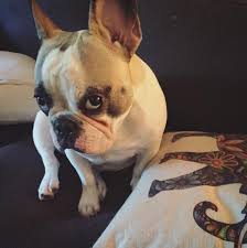 中欧·(中文版)官方网站