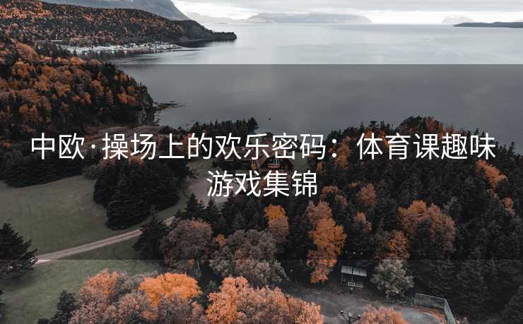 中欧·操场上的欢乐密码：体育课趣味游戏集锦